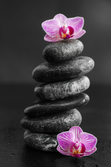 Fototapeta na wymiar Stack of spa stones and beautiful orchid flowers on dark background