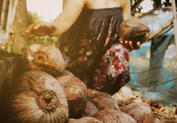 Blur the girl, keep the coconut, rural lifestyle.