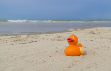 Bath duck on the beach