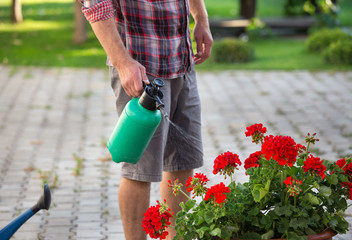 Man watering flower from pressurized bottle