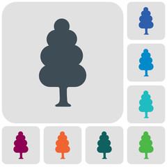 Deciduous forest icon