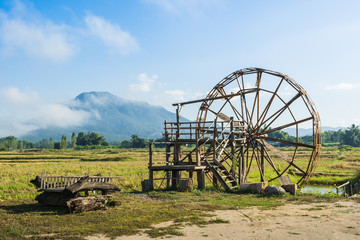 Bamboo water wheel for irrigation of rice fields .green farm.good ozone between hill.