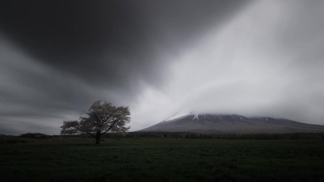 ４Ｋ アート タイムラプス 岩手山 夕暮れの一本桜