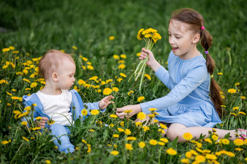 Little caucasian boy and girl sitting on dandelion flowers meadow