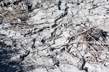 Sun dried cracked earth structure. Photo background producing illegal waste in soil. Concept of...