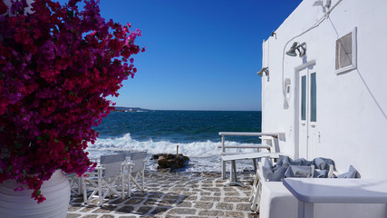 Fototapeta premium Photo of beautiful bougainvillea flower with awsome colors in picturesque Greek island with deep blue waves 