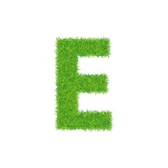 Green grass letter e on white background