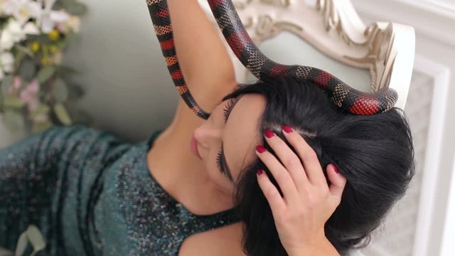 Close-up of a luxurious girl lies on a vintage gray sofa in an evening dress, a snake creeps over her head and hair.