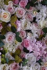Цветы, розы , фон.