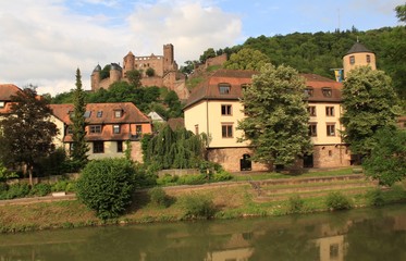 Fototapeta na wymiar Blick über die Tauber auf Wertheim mit Rathaus und Burg
