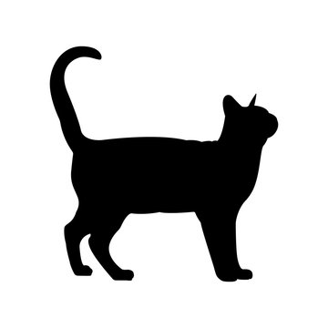 Black cat silhouette. Elegant cat sitting side view with turn around head. 
