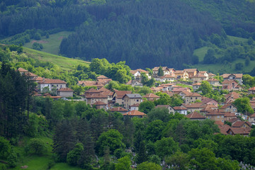 Fototapeta na wymiar Mountain village surrounded by forest 1