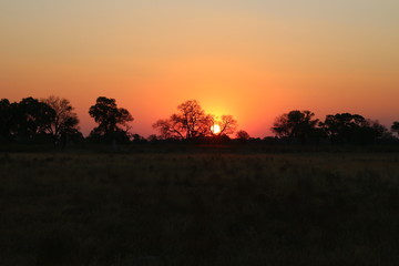 Sunset in Africa