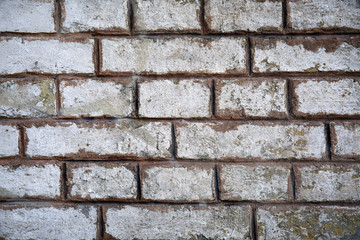 Texture of old brick wall as background