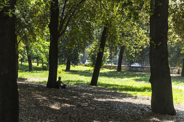 Fototapeta premium Villa borghese