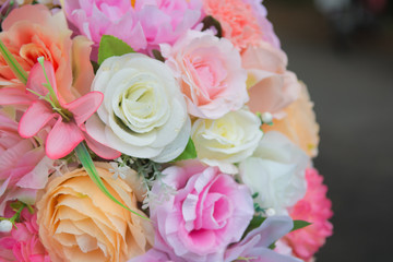 beautiful rose flower 