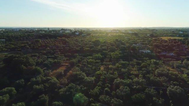 Sunset in Italy Drone flight 4k near Apulia