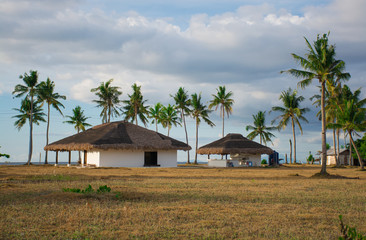 Two bungalow and palm grove