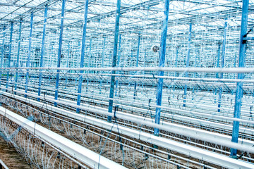 Interior of an Empty Industrial Greenhouse