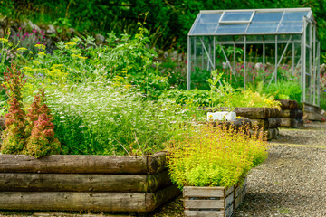 A vegetable garden with a greenhouse in summer.