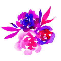 Watercolor flowers illustration. Isolated composition.