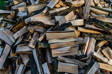 Chopped firewood. Harvesting firewood for the winter