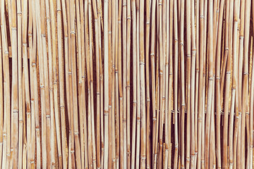 The fence of the stalks of cane