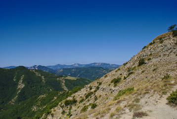 Naklejka premium Quasi sulla cima