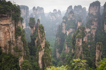 Zhangjiajie Forest Park. Gigantic pillar mountains rising from the canyon. Hunan province, China.