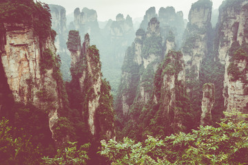 Zhangjiajie Forest Park. Gigantic pillar mountains rising from the canyon. Hunan province, China.