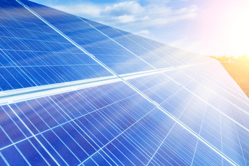 Obraz premium Solar panels, photovoltaic, alternative source environmentally friendly energy. In the backlight sunbeam light.