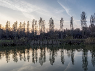 Obraz premium Evening at Parco Nord, Milan