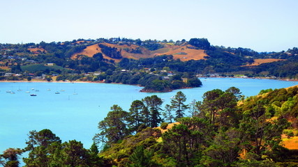 Waiheke Island in New Zealand