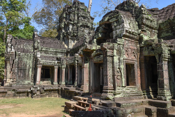 Obraz premium Ta Prohm temple at Angkor Wat complex, Siem Reap, Cambodia