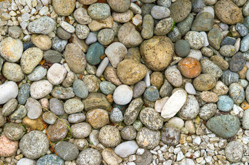colorful small pebble and stone for background texture.