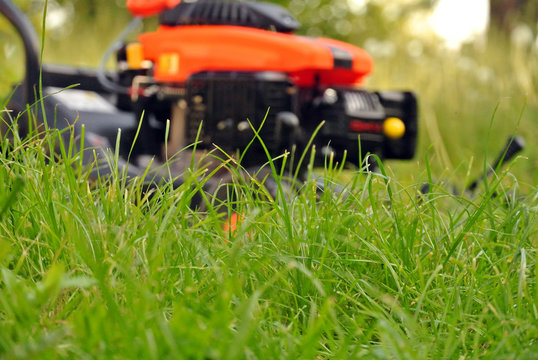 grass against lawn mower background
