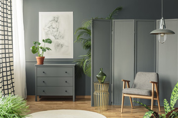 Grey chair with a decorative screen standing next to a shelf surrounded by plants in a grey, botanic room interior
