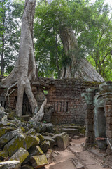 Ta Prohm temple at Angkor Wat complex, Siem Reap, Cambodia