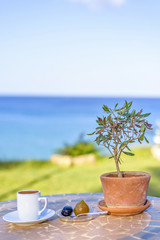 Daylight view to cup of coffee on table with olive tree
