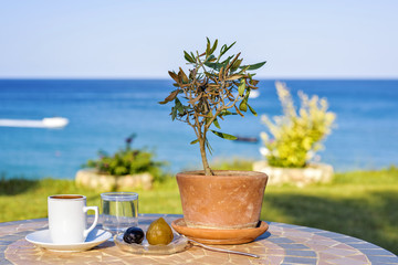 Daylight view to cup of coffee on table with olive tree