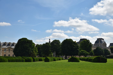 Jardin des Tuileries &agrave; Paris, France