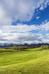 Obraz premium Landscape with golf courses in Iceland