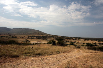 Serengeti Dune