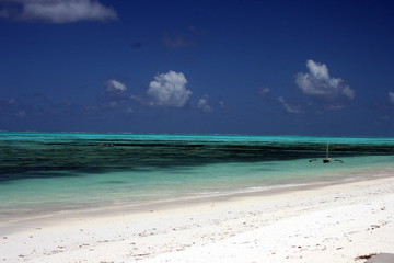 Fototapeta na wymiar Zanzibar Coastline