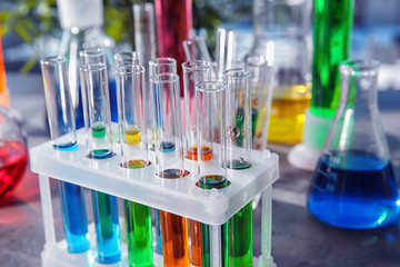 Test tubes with colorful liquids in holder, closeup