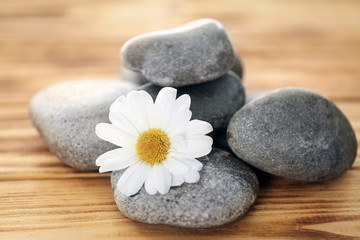 Fototapeta na wymiar Spa stones with beautiful flower on wooden background
