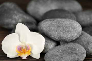 Fototapeta na wymiar Spa stones with beautiful orchid flower, closeup