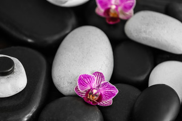 Spa stones with beautiful orchid flowers, closeup