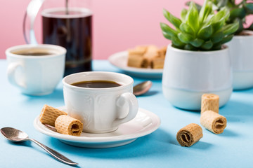 Cups of coffee with crispy mini wafer rolls and indoor plant succulent on blue and pink background.