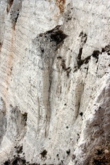 Beachy Head White Cliffs Closeup